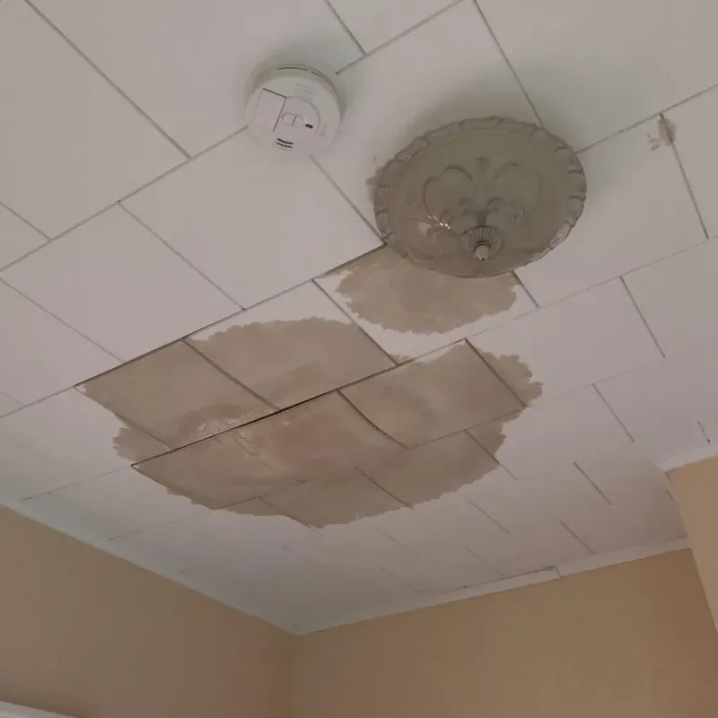 Ceiling Water Damage Repair in Lindsborg, KS
