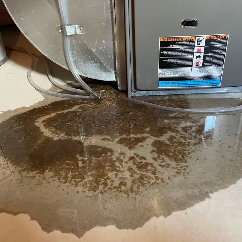 Pipe Burst and Leak Restoration in Lindsborg, KS
